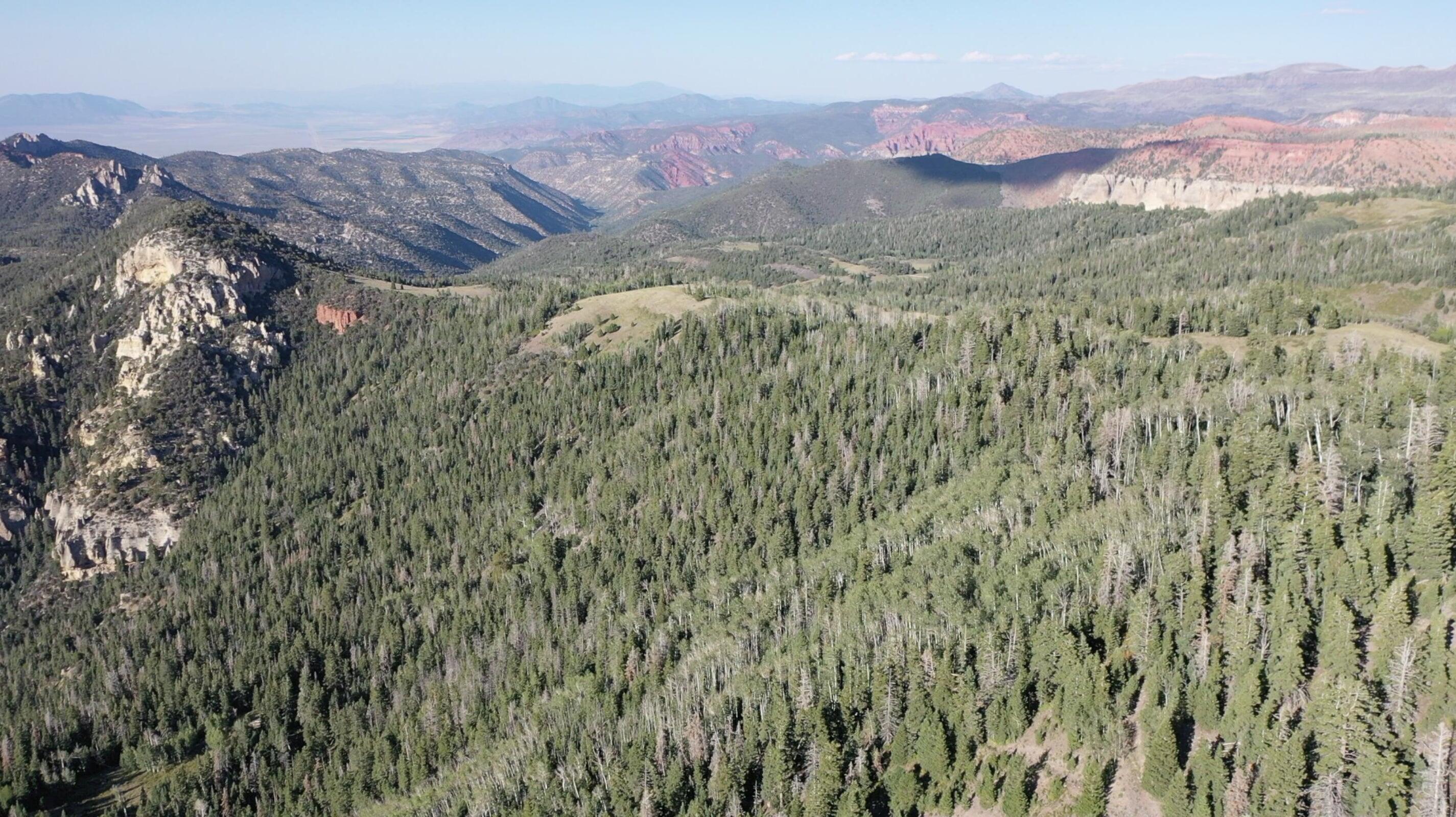 20 Acres W West of Dry Lakes RD, Brian Head, UT 84719 — photo 1