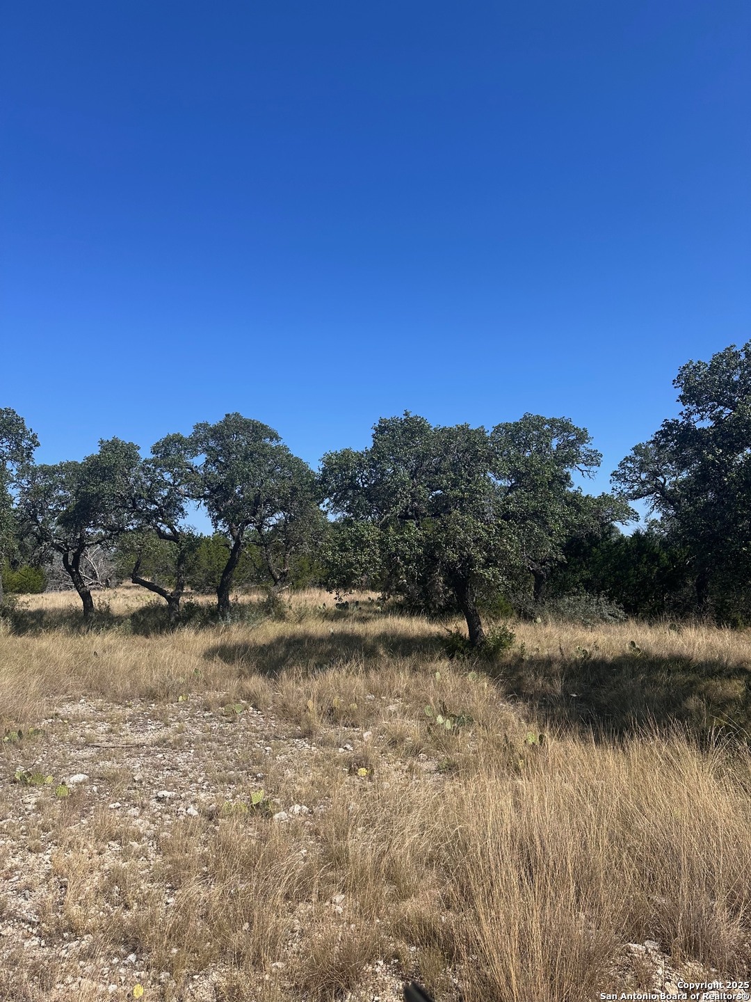 LOT 5 Seven Springs Drive, , 76849 — photo 1