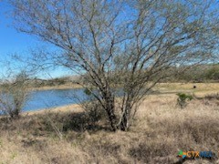 TBD US Highway 181 South, Kenedy, TX 78119 — photo 1