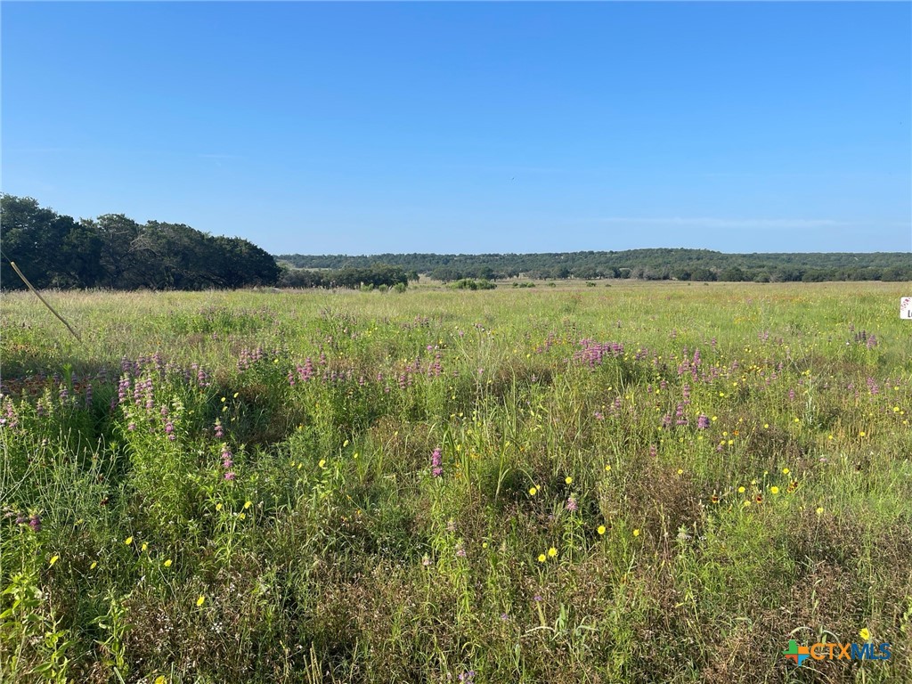 Lot 11 Fm 1690, Gatesville, TX 76528 — photo 1