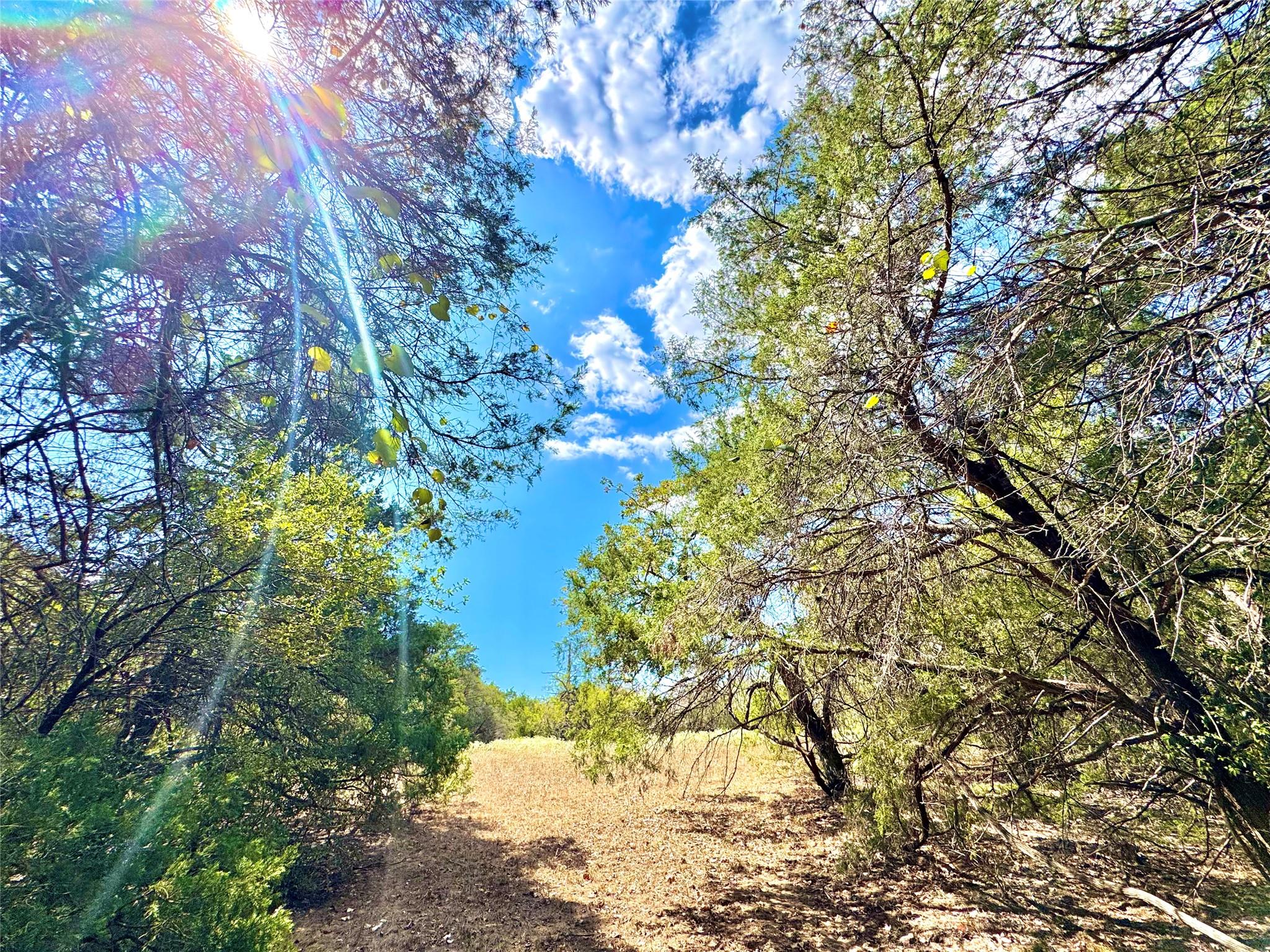 TBD 50.62 Acres Rabel, Rosanky, TX 78953 — photo 1