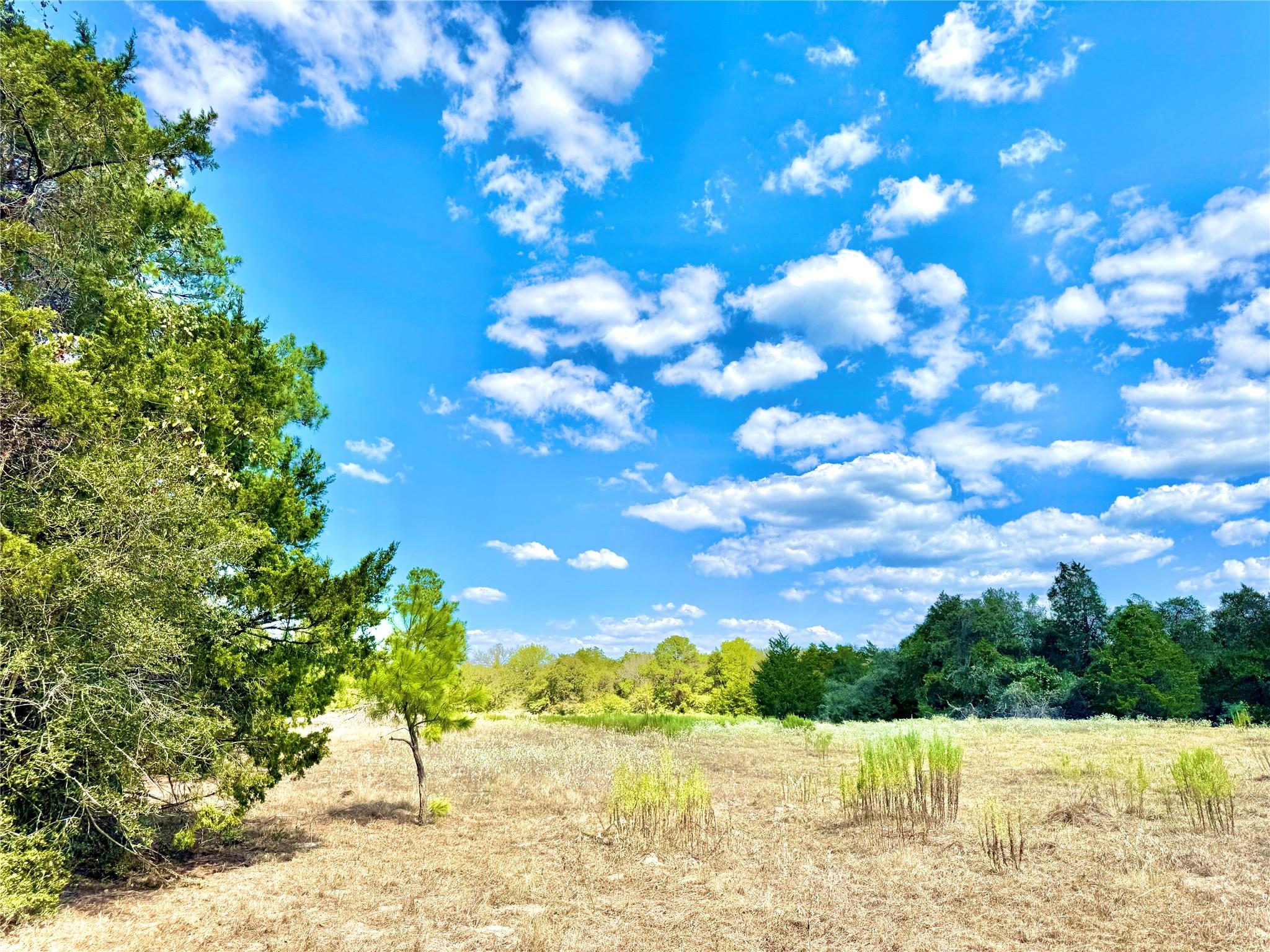 TBD 50.62 Acres Rabel, Rosanky, TX 78953 — photo 1