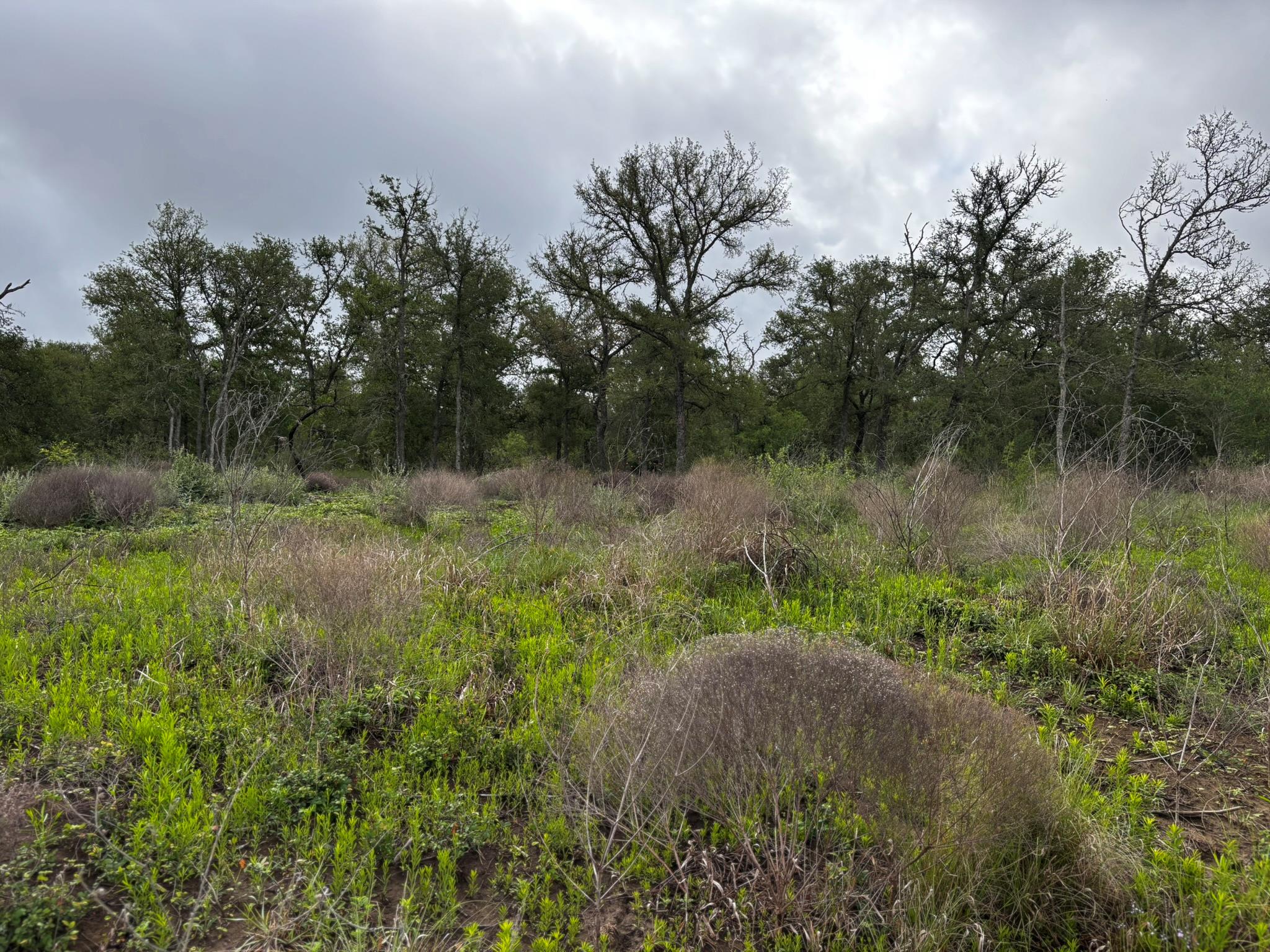 683 County Road 467, Thrall, TX 76578 — photo 1