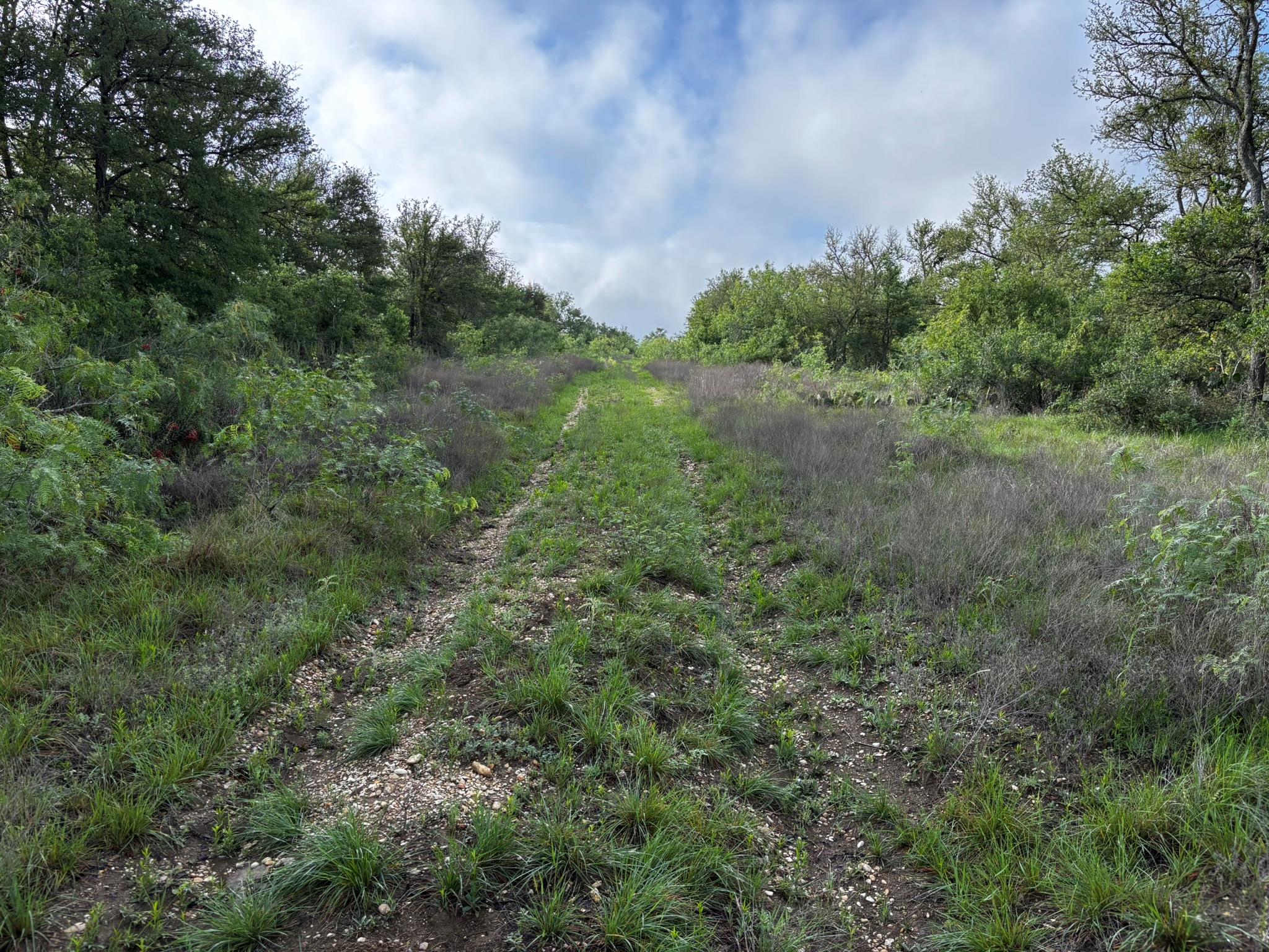 615 County Road 467, Thrall, TX 76578 — photo 1