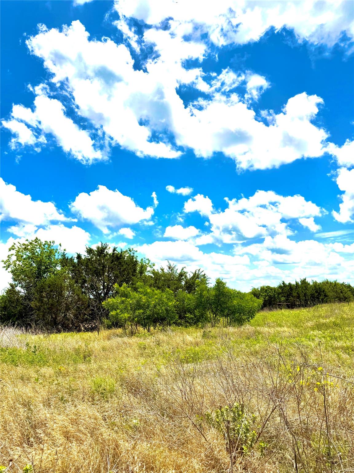 TBD Tract 75 Adobe Hill Dr, Stephenville, TX 76401 — photo 1