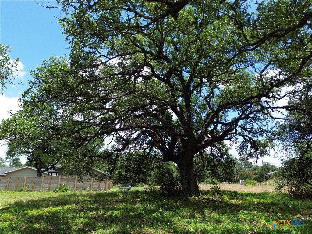 731 Santa Maria Road, Salado, TX 76571 — photo 1