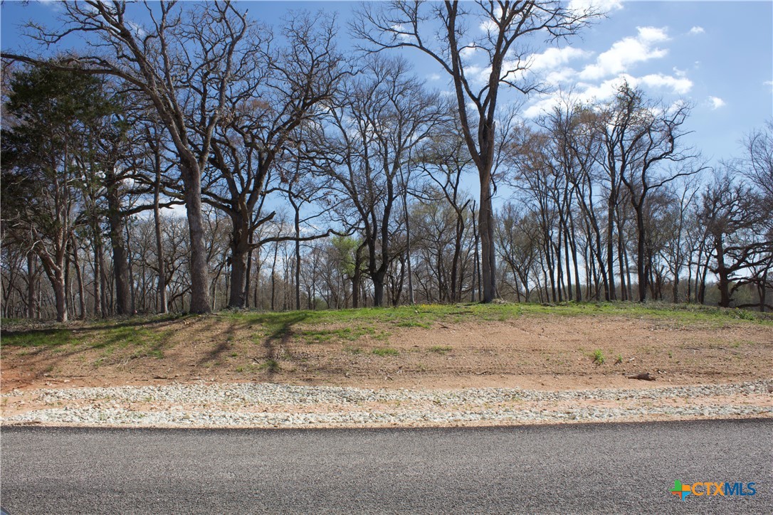 132 Highland Drive, Cameron, TX 76520 — photo 1