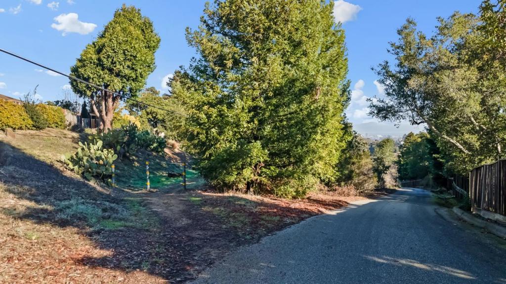 Marsten Avenue, Belmont, CA 94002 — photo 1
