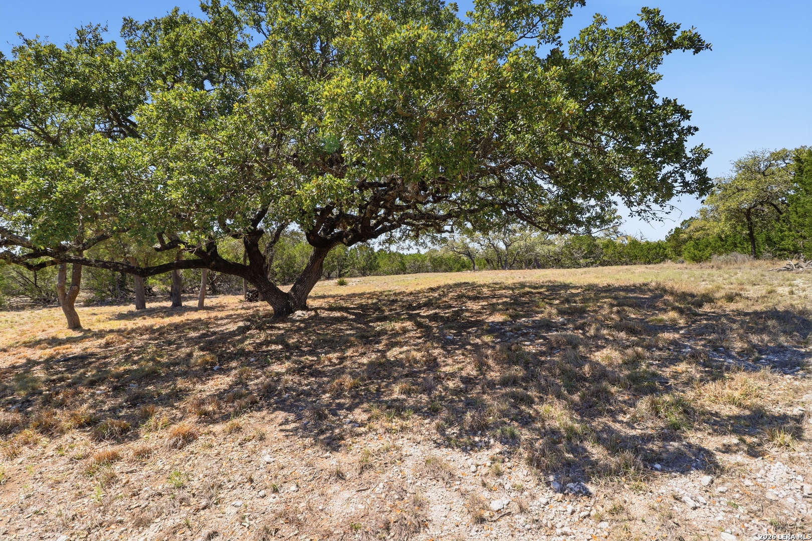 748 Bear Springs Trails, ,  78063 — photo 1