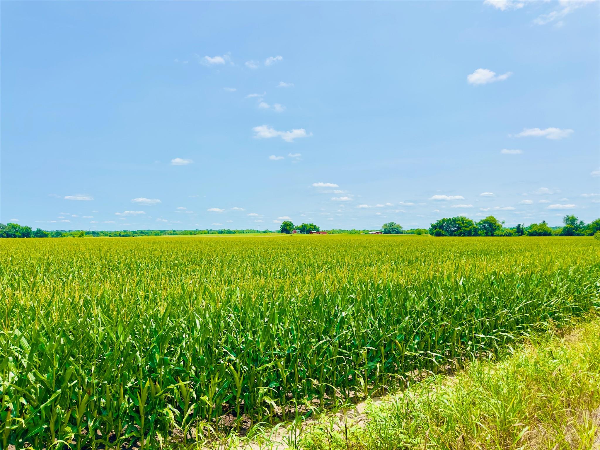 TBD2 CR 406, Buckholts, TX 76518 — photo 1