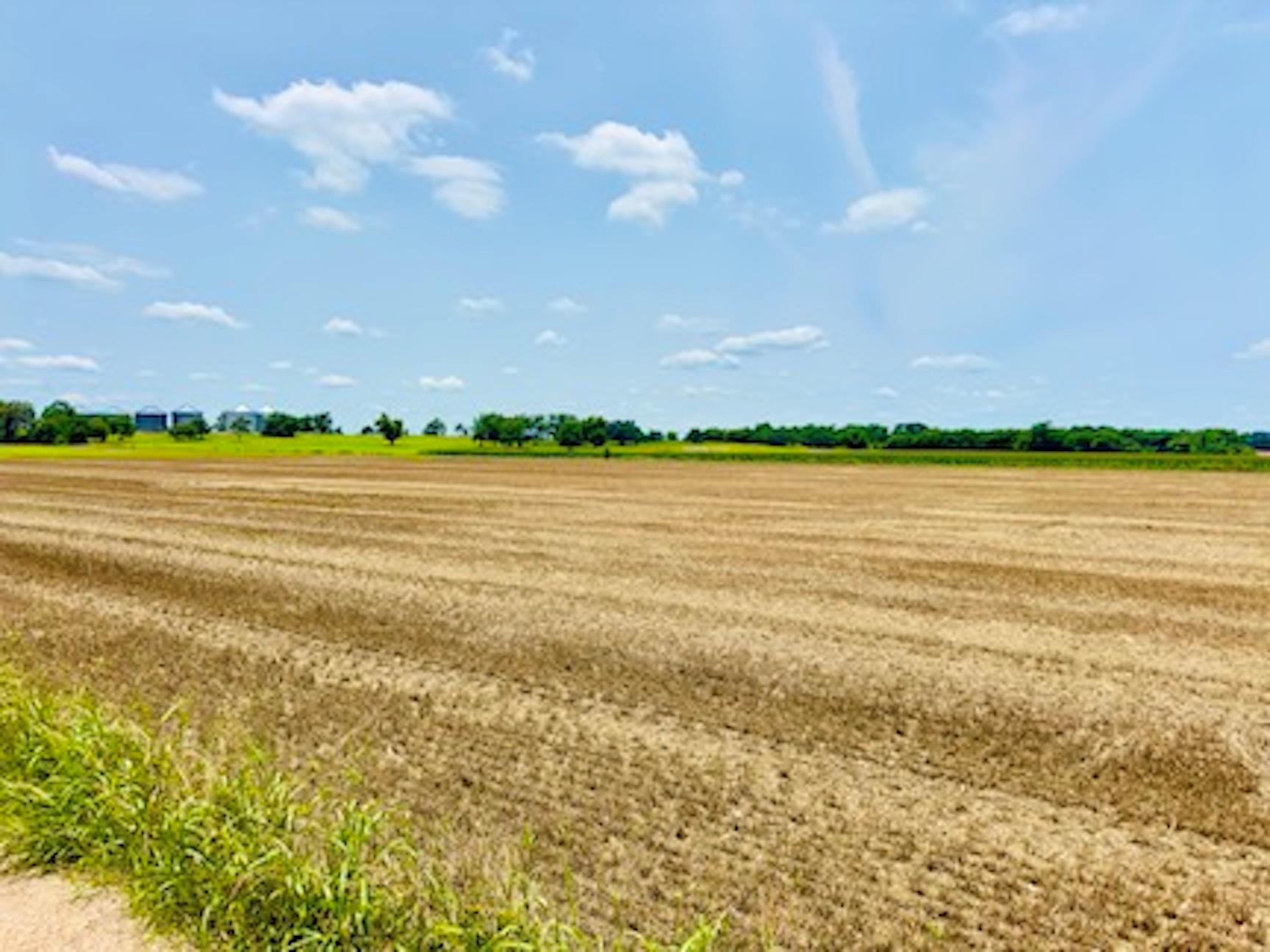 TBD1 FM 406, Buckholts, TX 76518 — photo 1