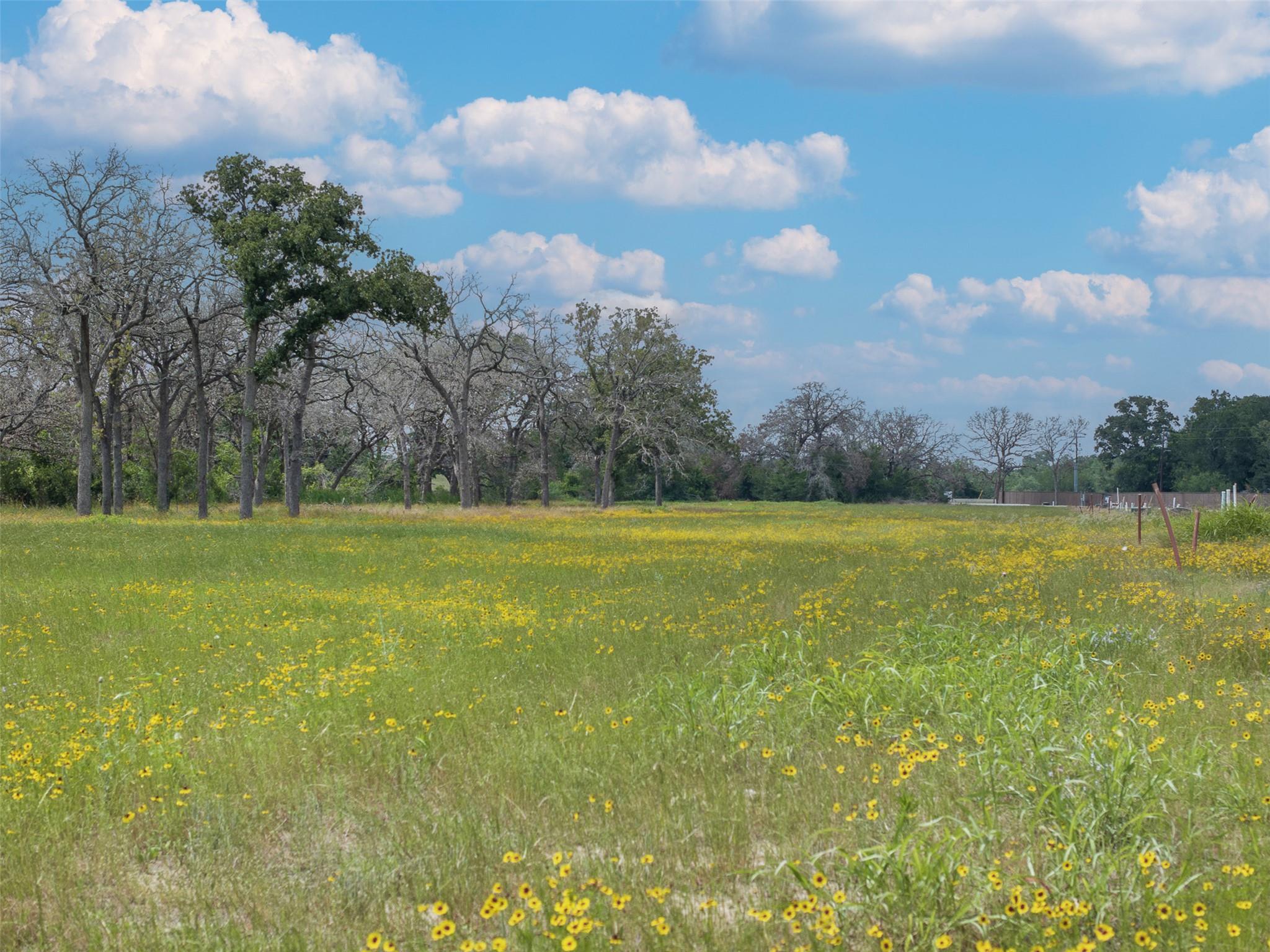 TBD Lot 3 Lake Day Drive None, Somerville, TX 77879 — photo 1