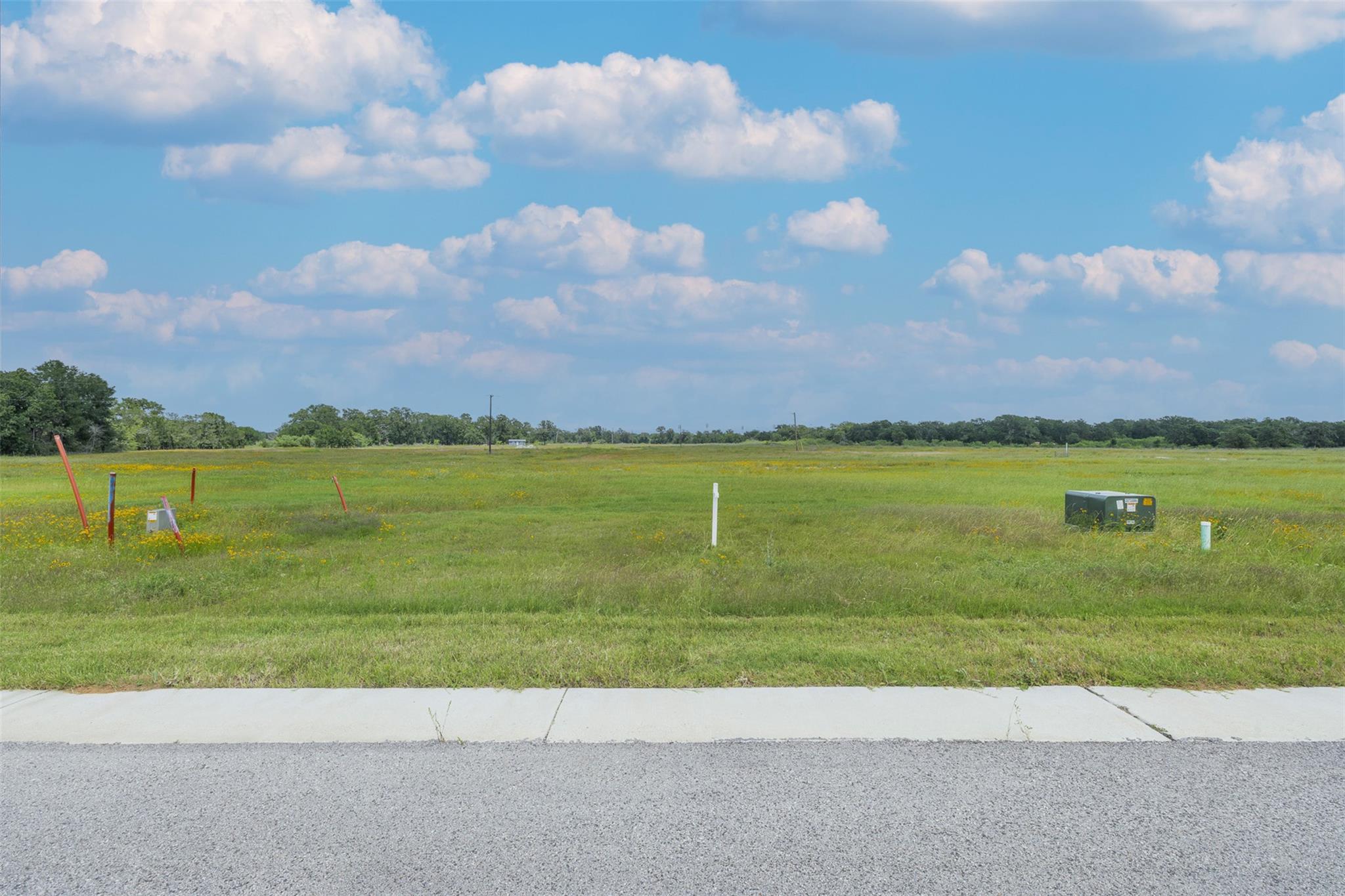 TBD Lot 67 Lake Day Dr, Somerville, TX 77879 — photo 1
