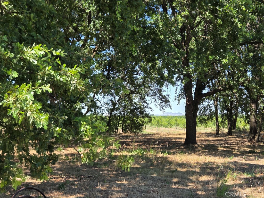 0 N. B STREET, Tehama, CA 96021 — photo 1