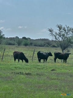 000 County Road 18 30.73 Acres Tract 3, Hallettsville, TX 77964 — photo 1
