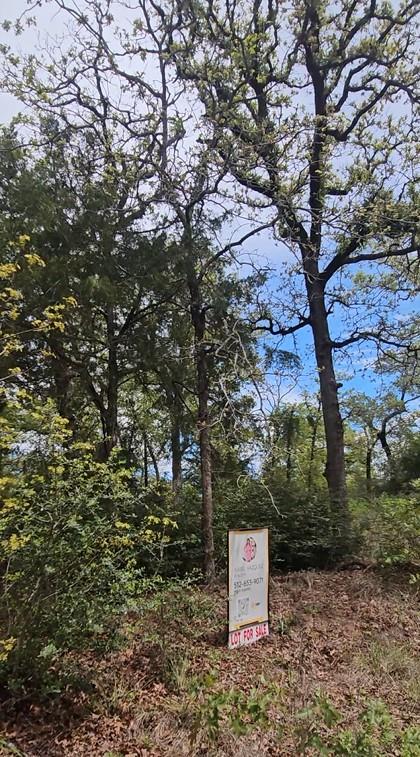TBD  Co Rd 308 Rd, Caldwell, TX 77836 — photo 1