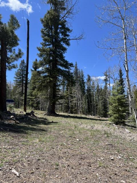 1014 W Chipmunk RD, Lots 13 & 14, Panguitch Lake, UT 84759
