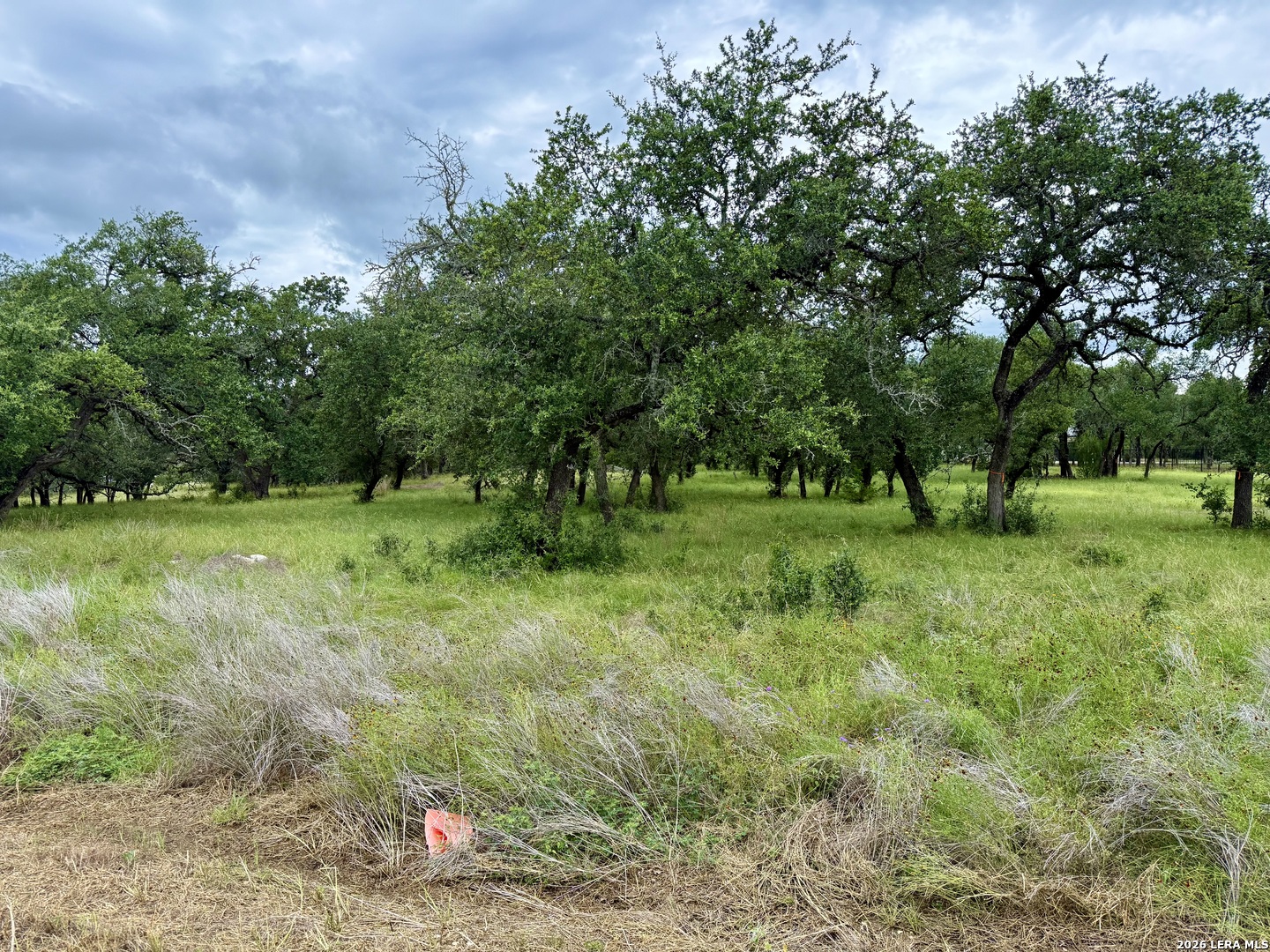 34781 High Gate, Bulverde, TX 78163 — photo 1