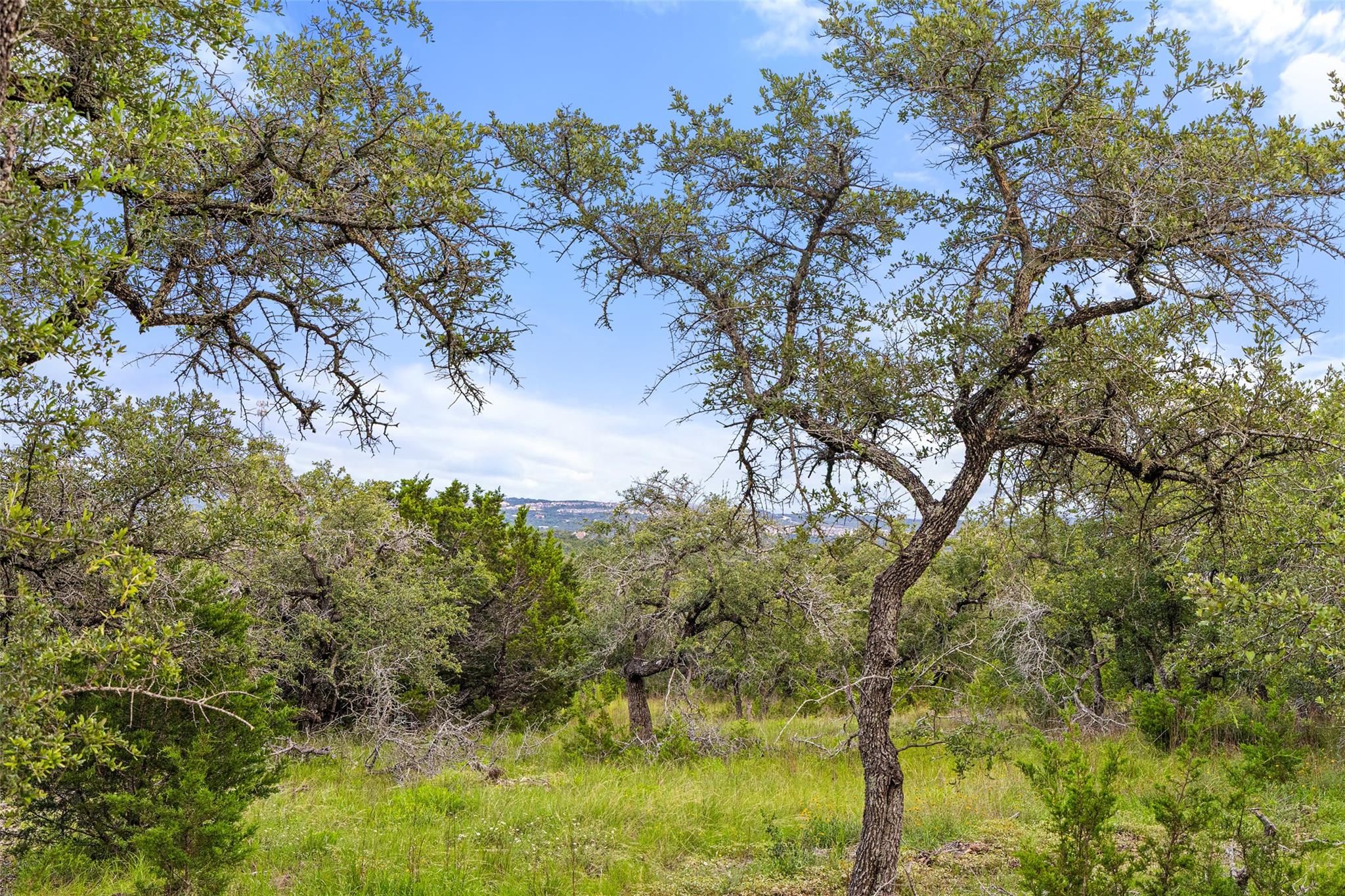 31860 Mirela Ann Rd, Dripping Springs, TX 78620 — photo 1