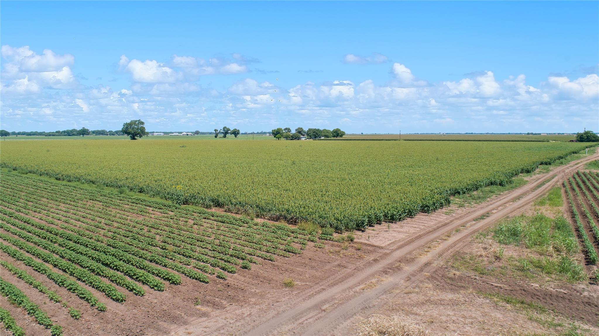 12485 Sandy Point, Bryan, TX 77807 — photo 1