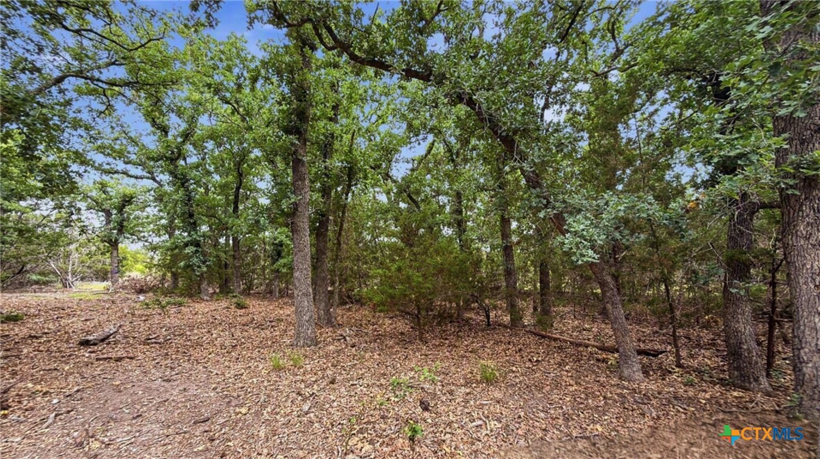 Lot 97 Ph 6 PR 42101, Evant, TX 76566 — photo 1