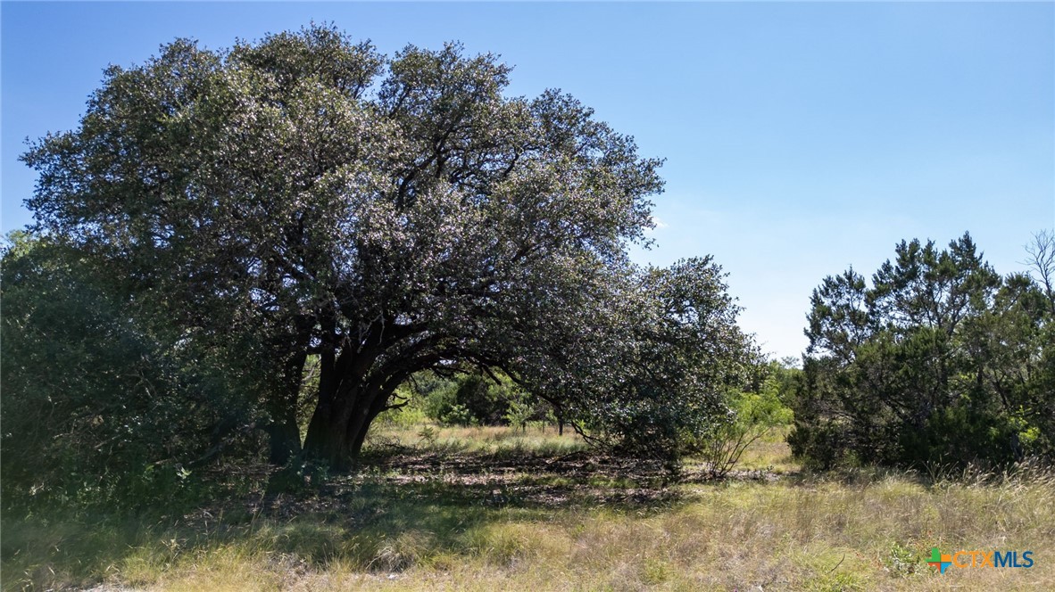 Lot 3 Ph 2 PR 4218, Evant, TX 76525 — photo 1