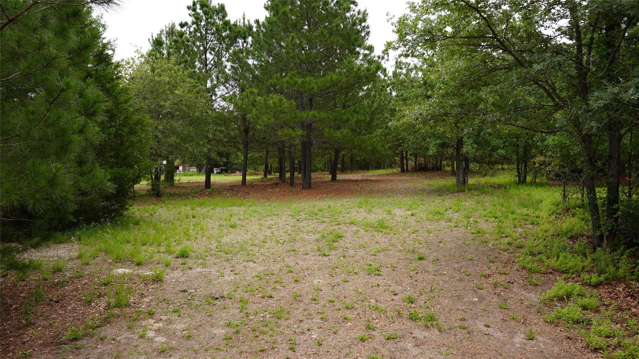 TBD Buckhorn, Bastrop, TX 78602 — photo 1