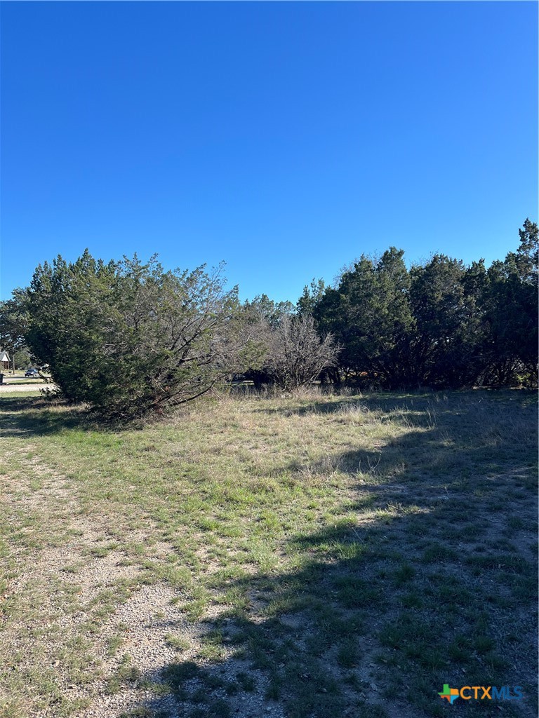 1309 and 1321 Lakeview Drive, Canyon Lake, TX 78133 — photo 1