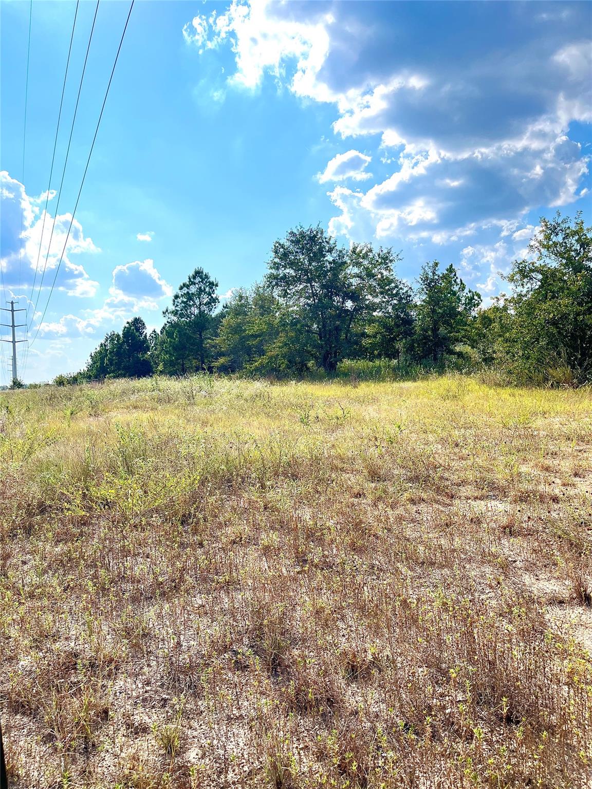 TBD Ponderosa Loop, Paige, TX 78659 — photo 1