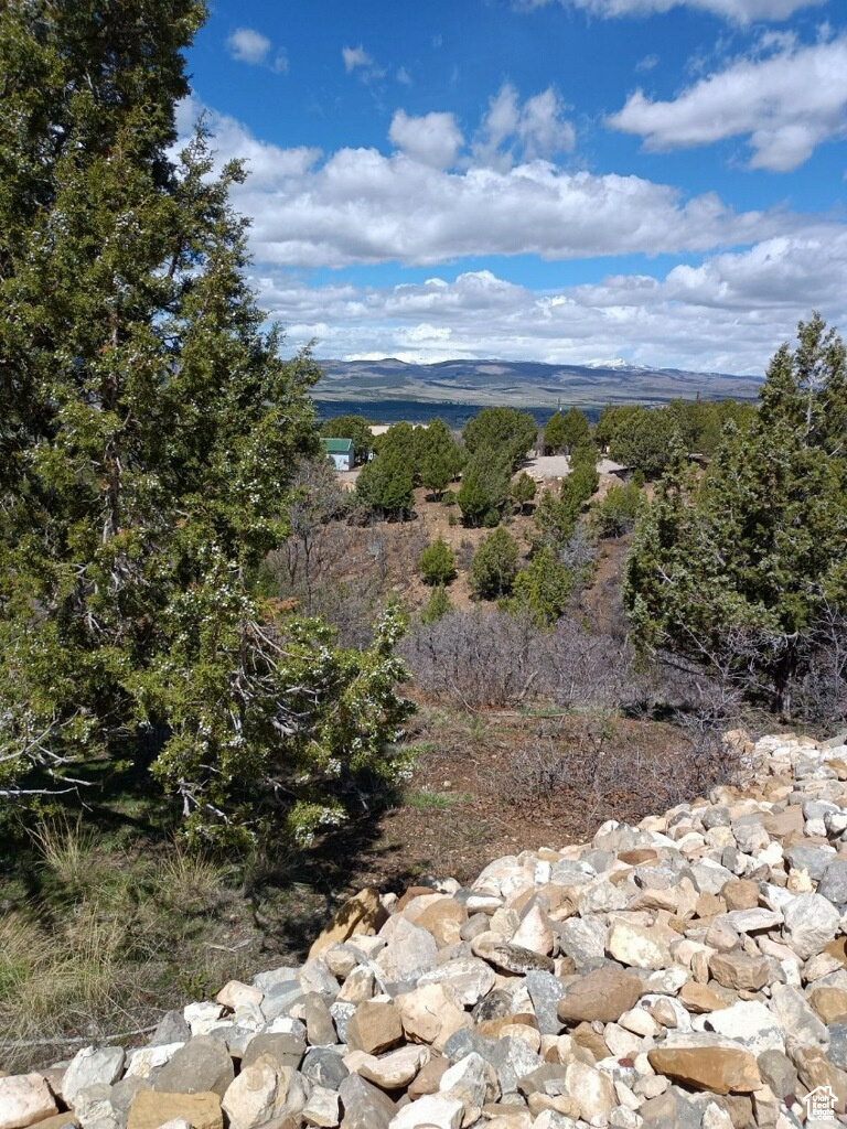 12665  CEDAR RIDGE DR, Fairview, UT 84629 — photo 1