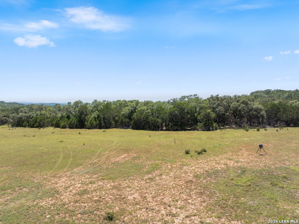 2480 Scenic View Dr, ,  78623 — photo 1