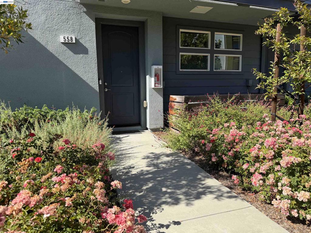 558 Clover Cir, Milpitas, CA 95035 — photo 1