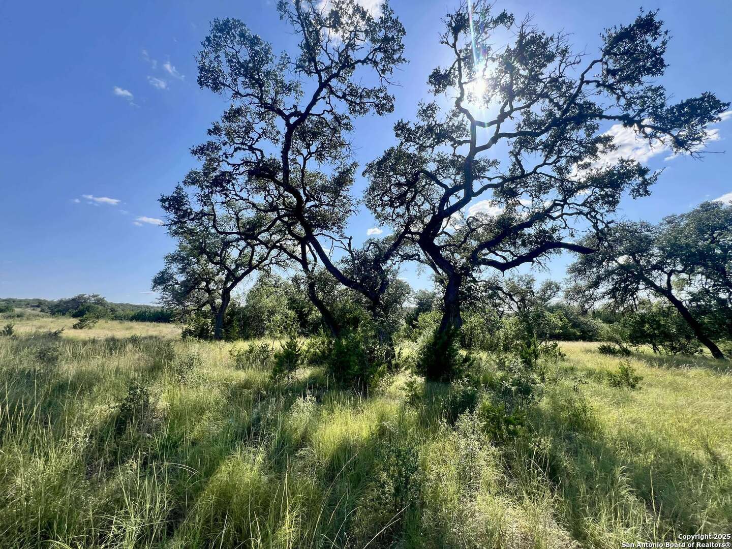 TRACT 116 Winans Creek Ranch, ,  78003 — photo 1