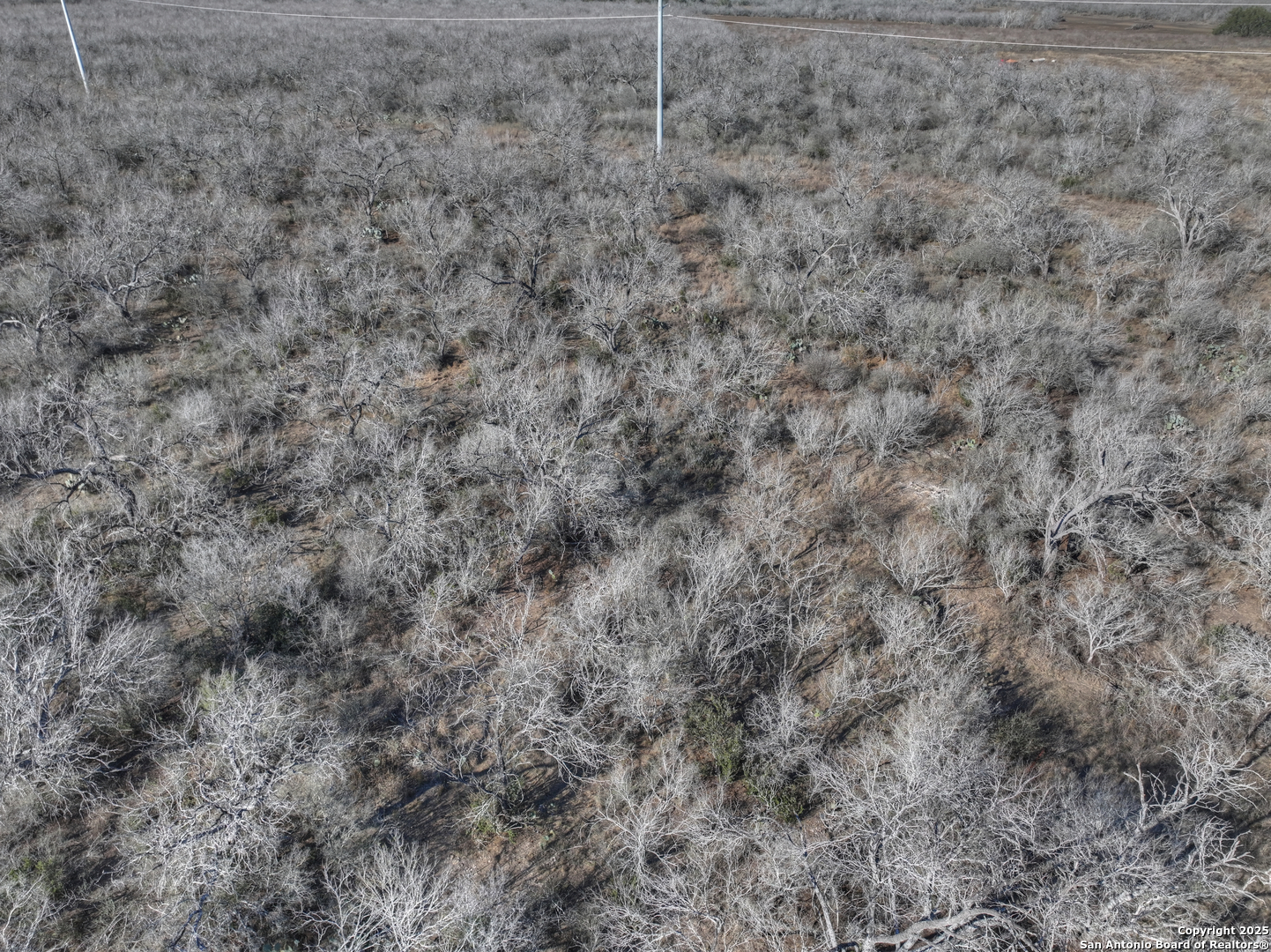 6093 Leal, ,  78064 — photo 1