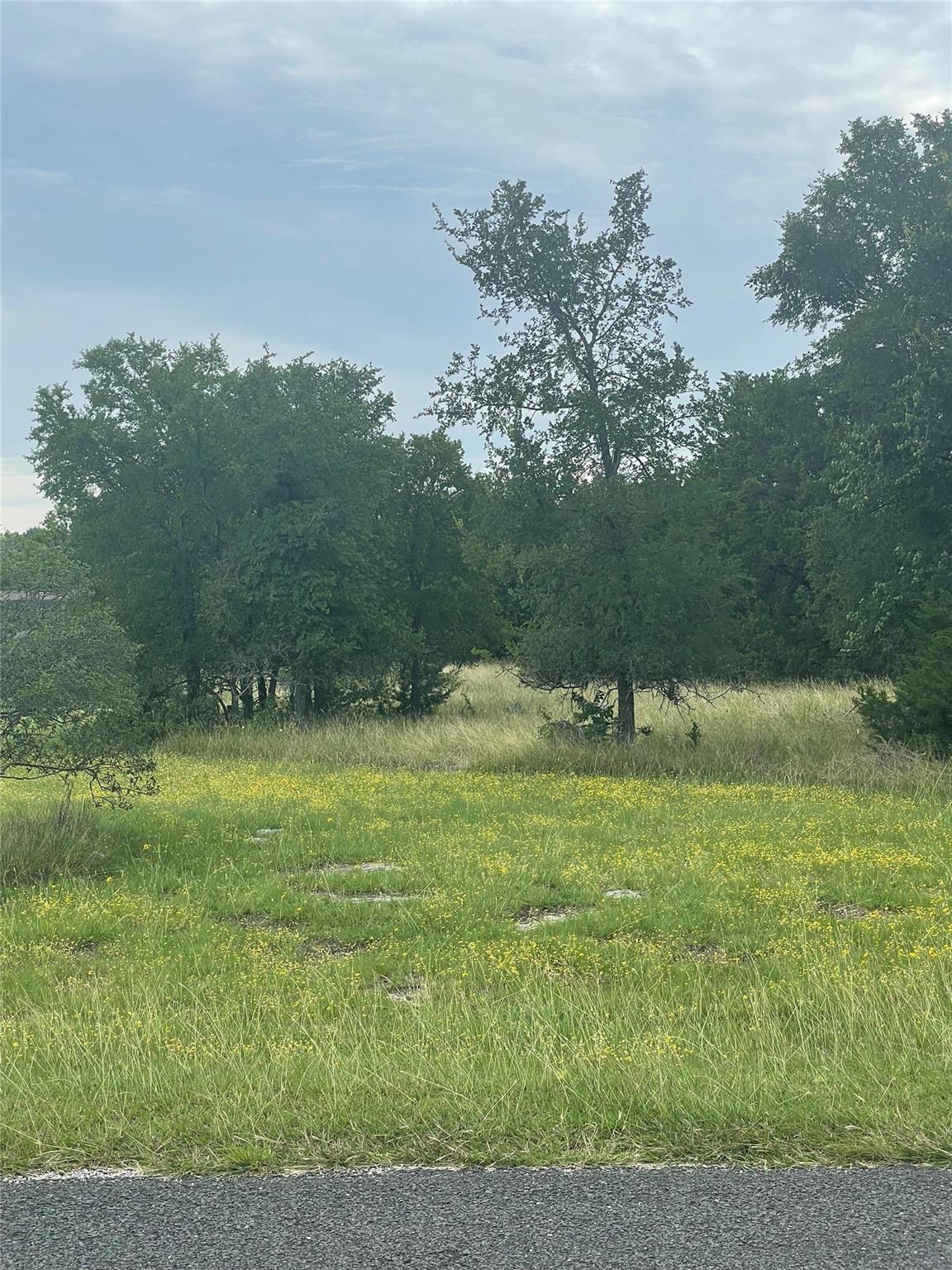 255 Sedro, Georgetown, TX 78633 — photo 1