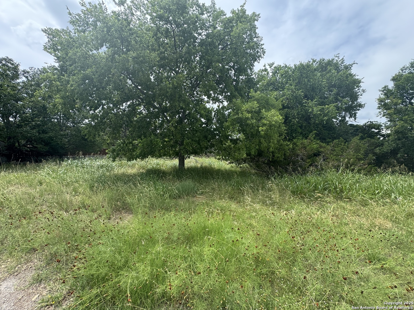 LOT 10 Browning, , 78260 — photo 1