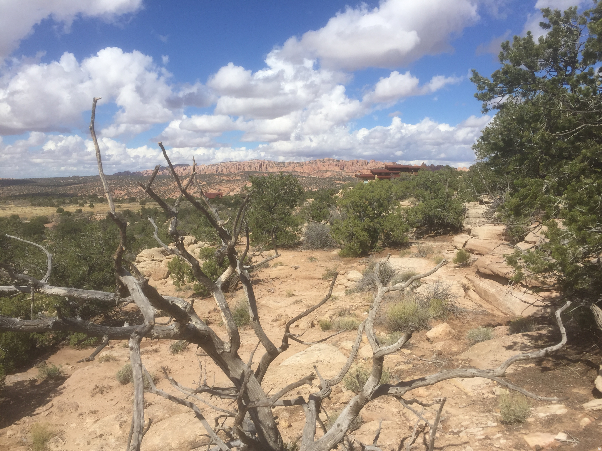187 S BRIDGER JACK TRAIL, Moab, UT 84532 — photo 1
