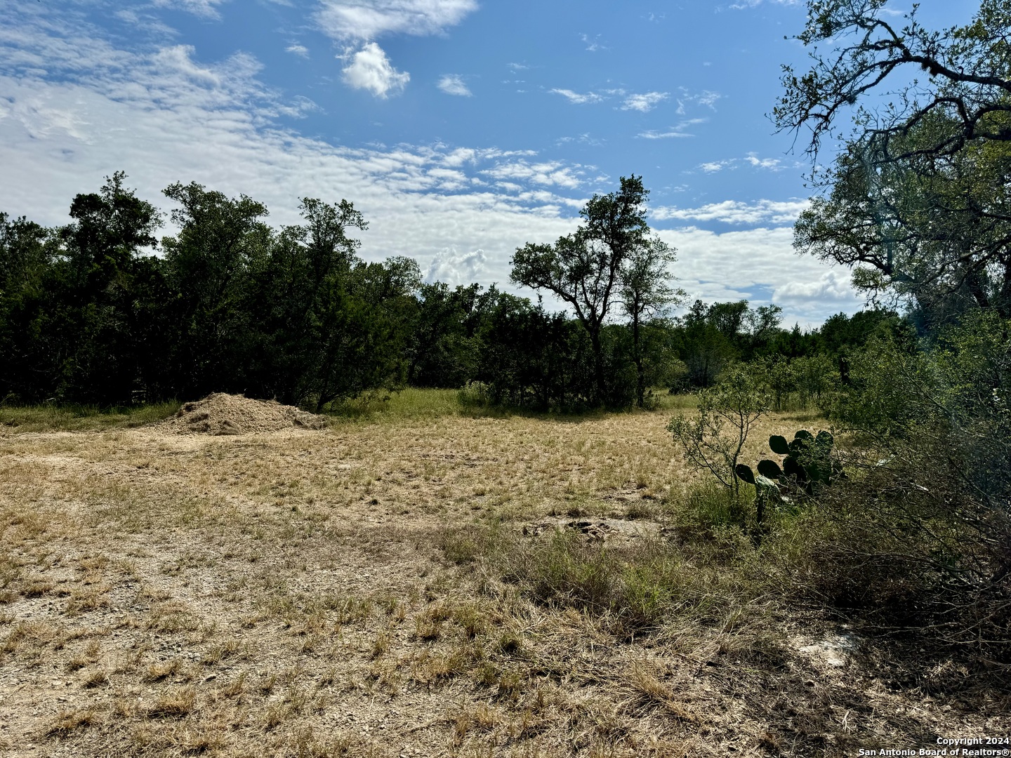 LOT 10 PR 2535, , 78056 — photo 1