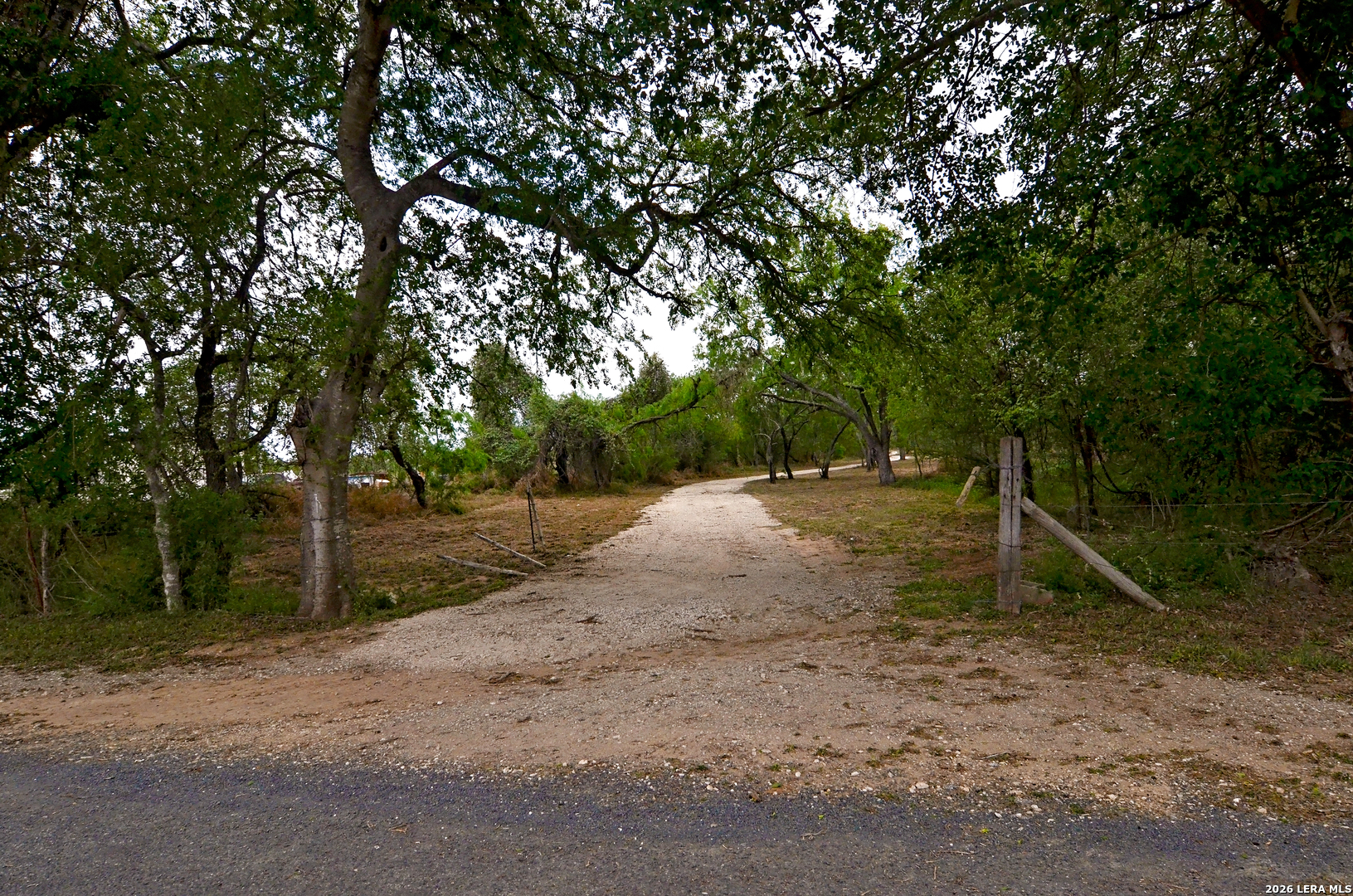 101 Alfredo, Floresville, TX 78114 — photo 1