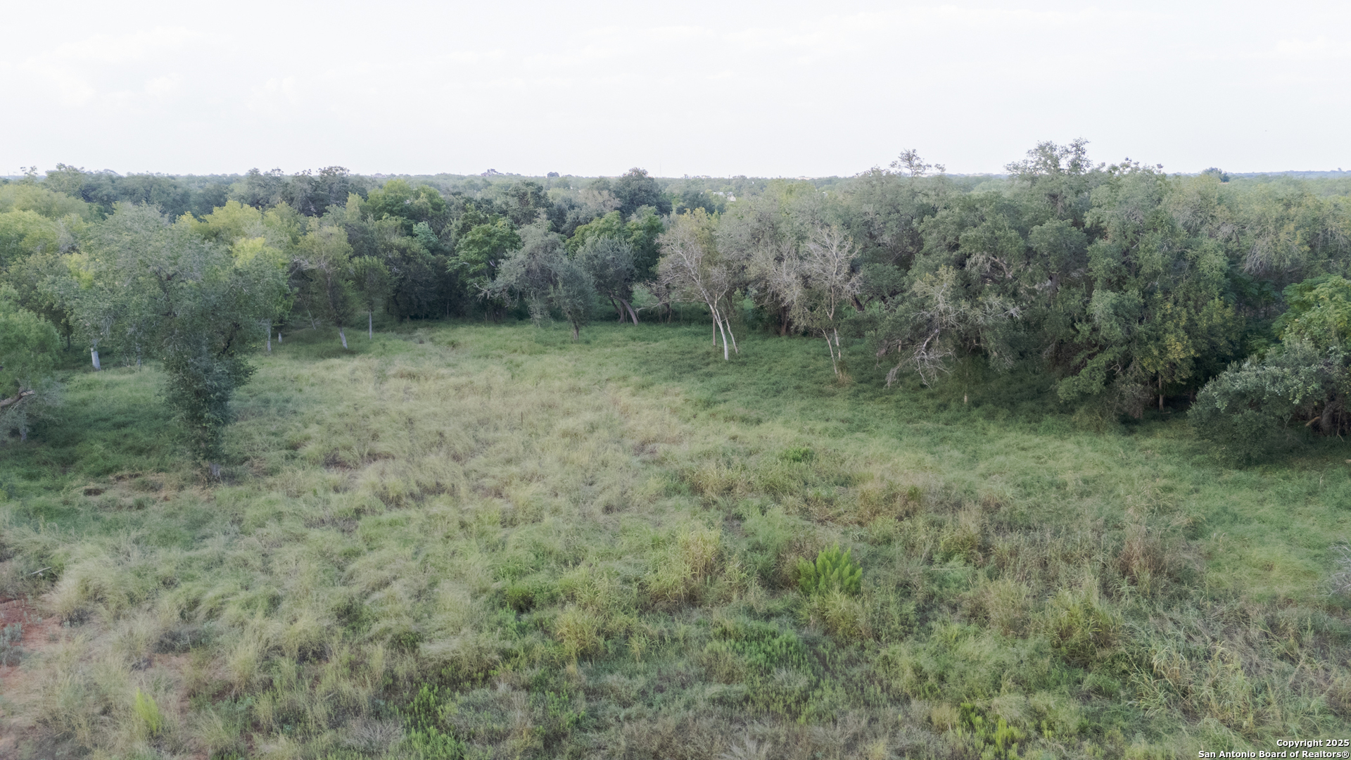 193 E MEDIUM MEADOW DR, Lytle, TX 78052 — photo 1