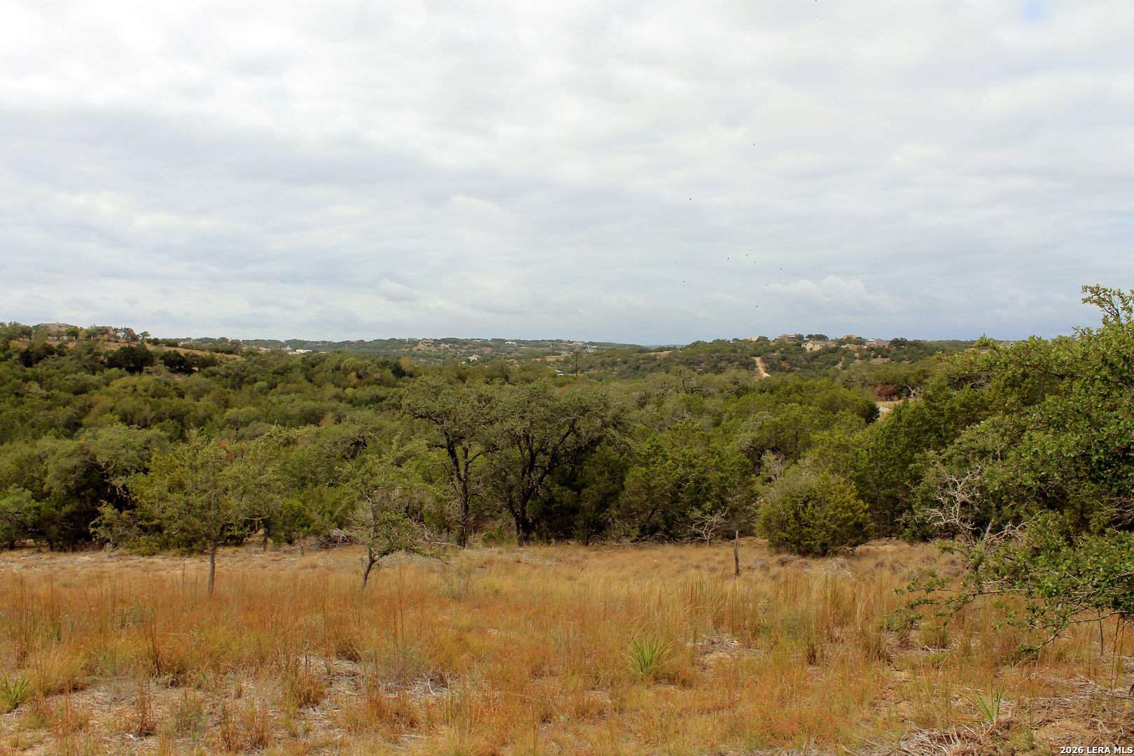 291 Stargrass, ,  78070 — photo 1