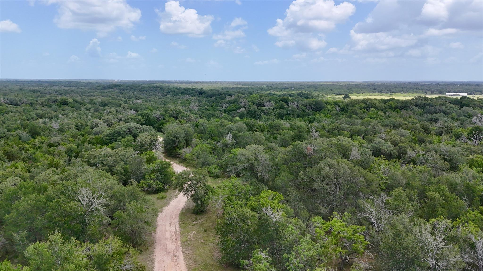 TBD CR 420, Waelder, TX 78959 — photo 1
