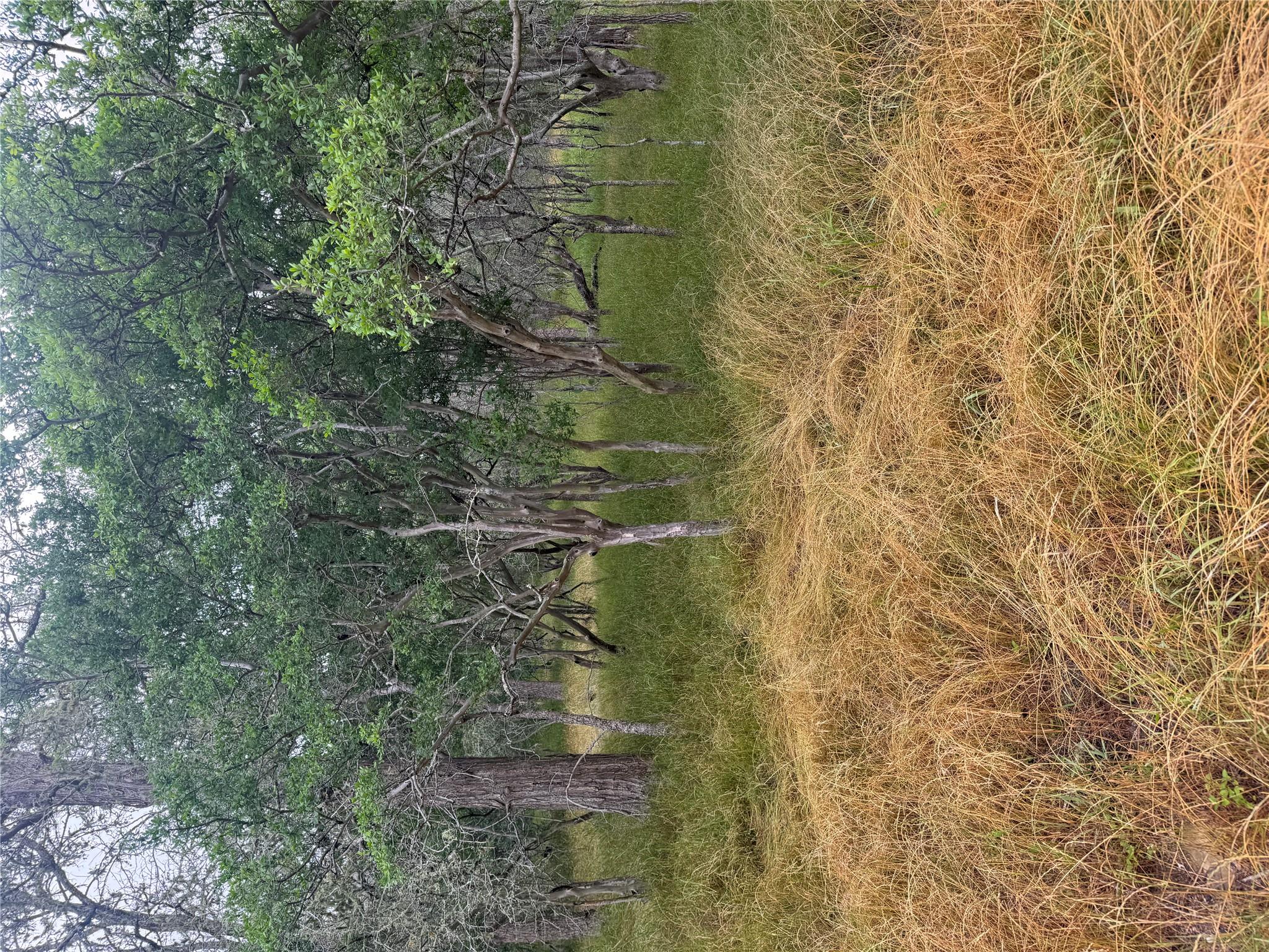 109 Hauula, Bastrop, TX 78602 — photo 1