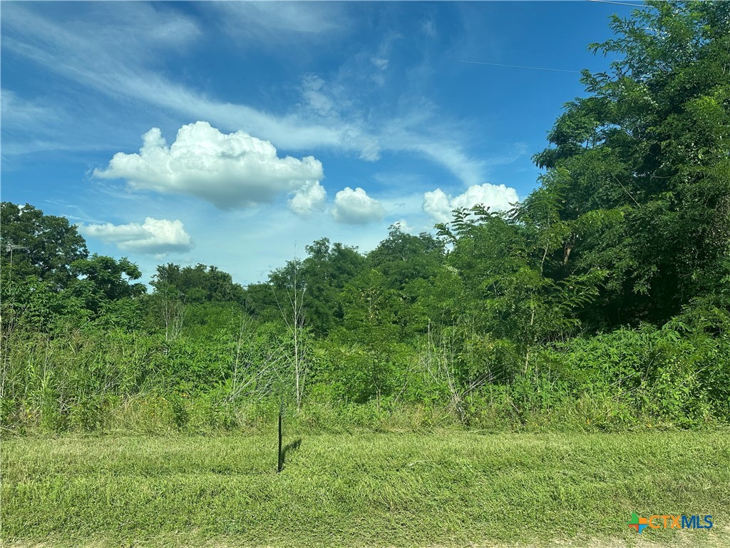 TBD County Road 287, Marlin, TX 76661 — photo 1
