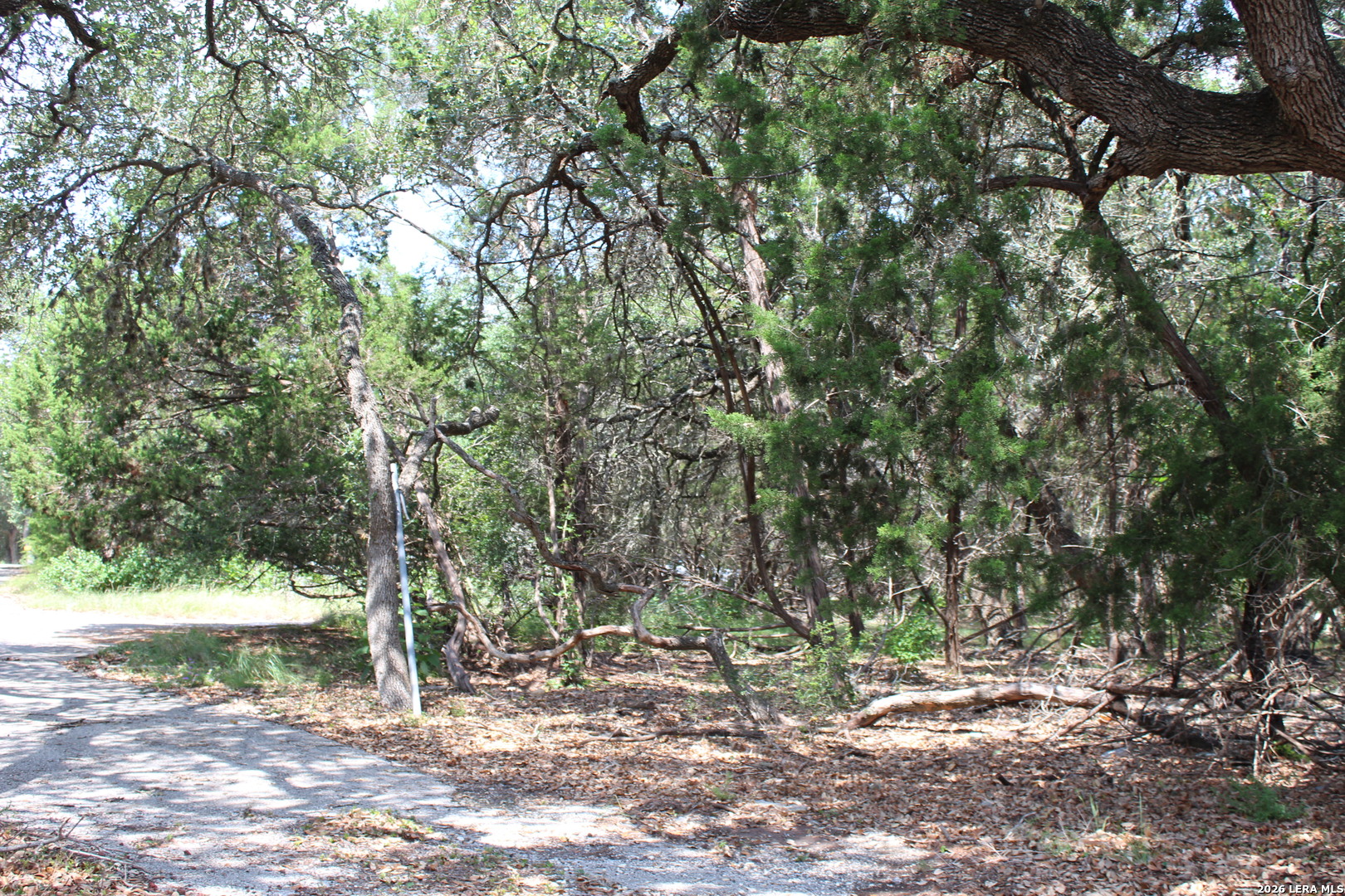 TBD Colleen, ,  78133 — photo 1
