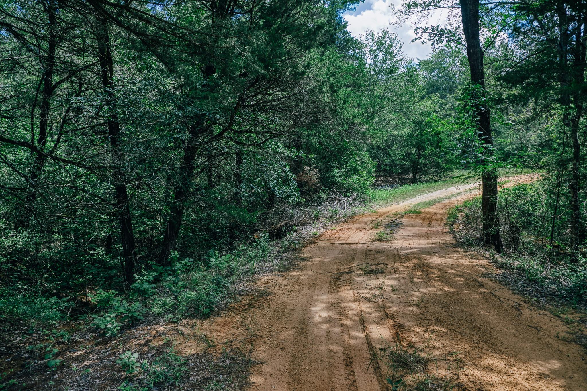 9713 County Road 316, Caldwell, TX 77836 — photo 1