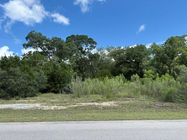 19615 Terra Mont, San Antonio, TX 78255 — photo 1