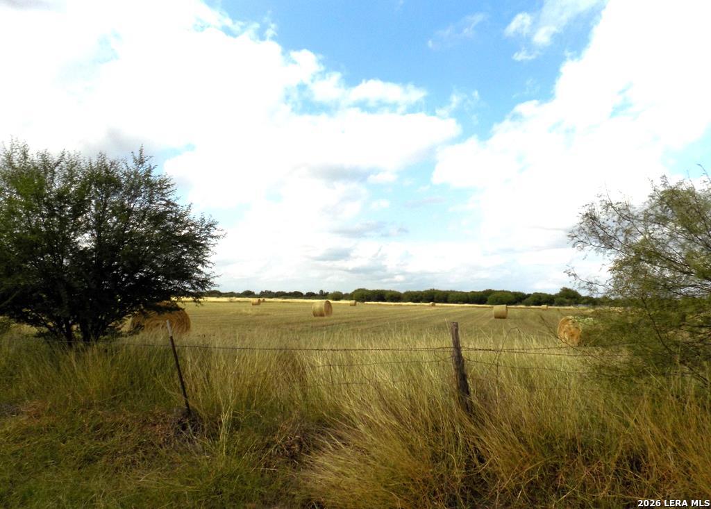 1175 MOSES RD, Quemado, TX 78877 — photo 1