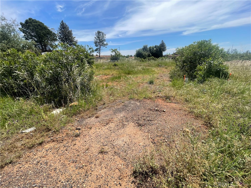 4624 Skyway, Paradise, CA 95969 — photo 1