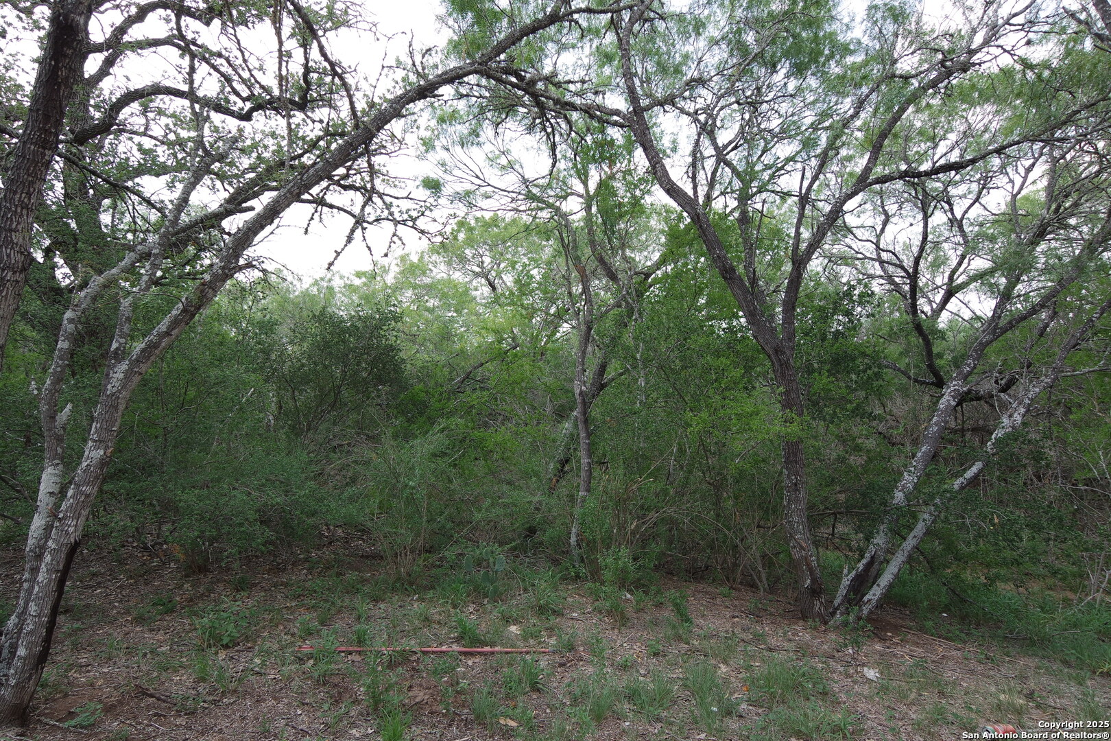 9459 Crow, Adkins, TX 78101 — photo 1